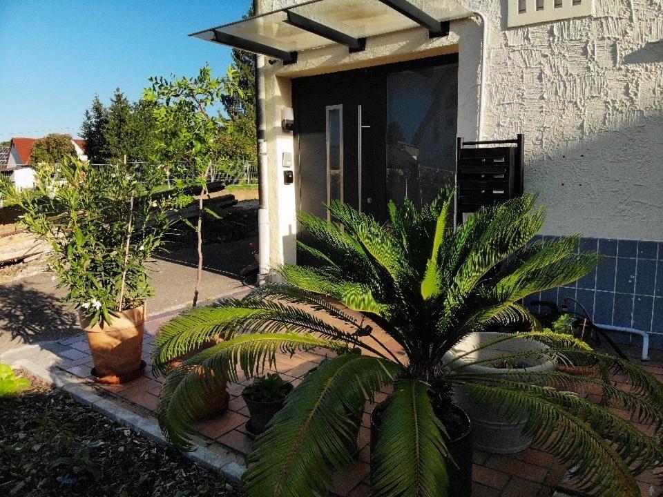 Gemuetliche 3 Zimmer Wohnung Mit Grosszuegiger Terrasse Im Gruenen Reutlingen Ngoại thất bức ảnh